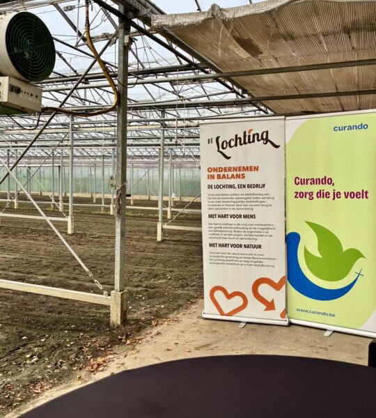 Roll-up banners van Curando en De Lochting