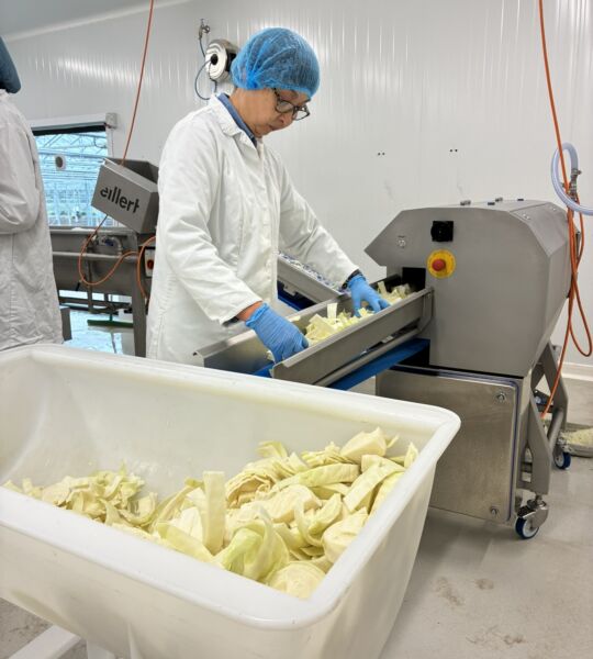 Medewerker De Lochting aan het werk aan de nieuw was- en snijstraat